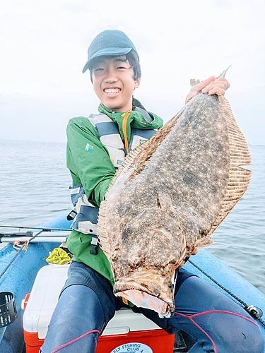 ヒラメの釣果