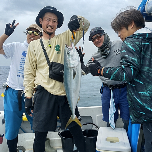 ブリの釣果