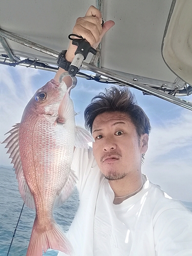 タイの釣果