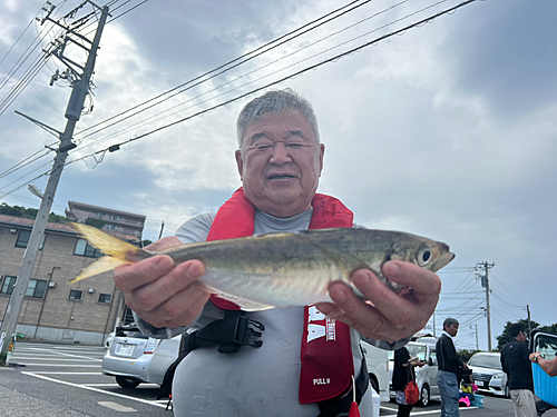 マアジの釣果