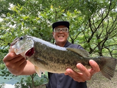 ブラックバスの釣果