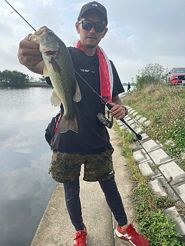 ブラックバスの釣果