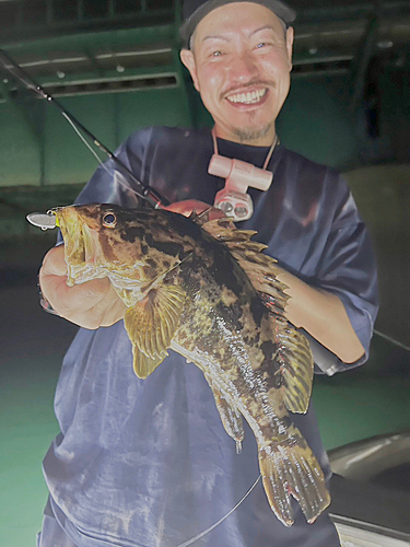 タケノコメバルの釣果