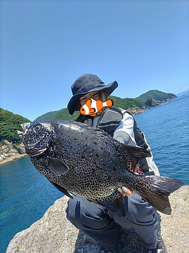 イシガキダイの釣果