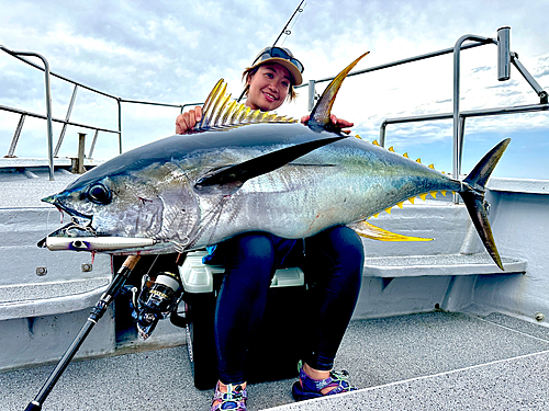 キハダマグロの釣果