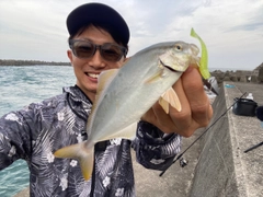 ショゴの釣果