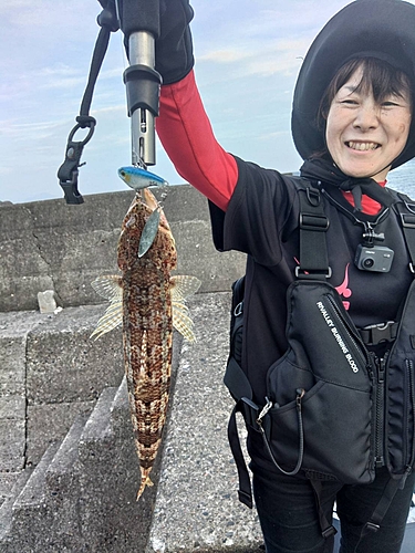 エソの釣果