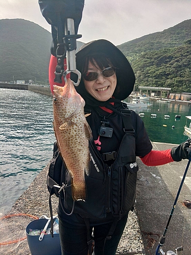 オオモンハタの釣果