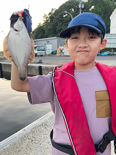 クロガシラガレイの釣果