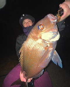 タイの釣果