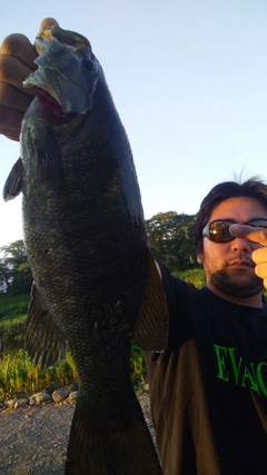 スモールマウスバスの釣果