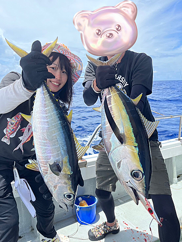 キハダマグロの釣果