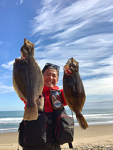 ヒラメの釣果