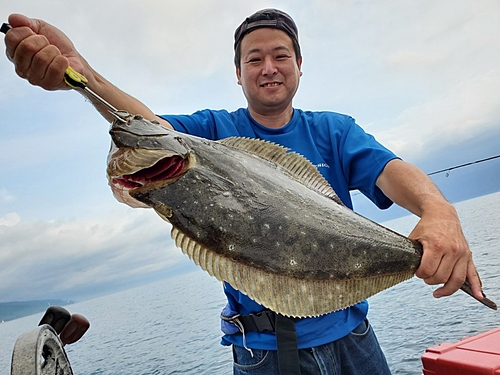 ヒラメの釣果