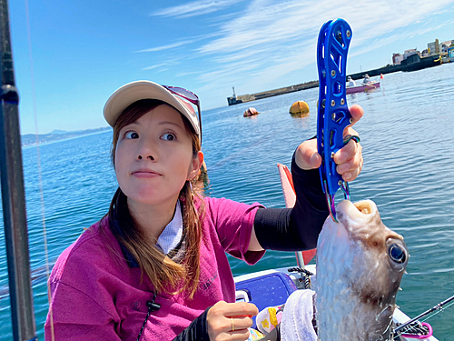 イシガキフグの釣果