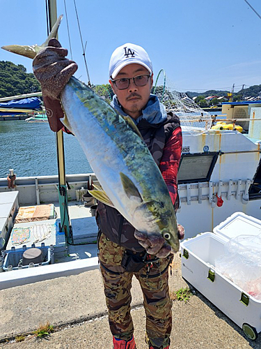 ワラサの釣果