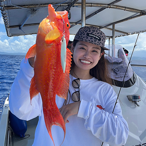 バラハタの釣果