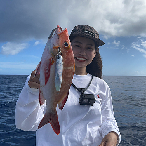 ヒメフエダイの釣果