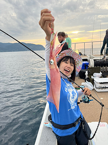 ケンサキイカの釣果