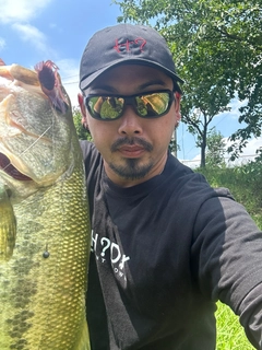 ブラックバスの釣果