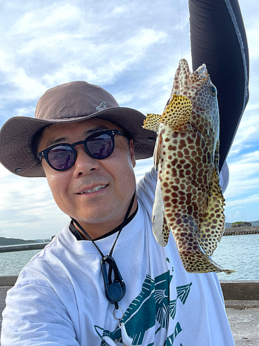 イシミーバイの釣果