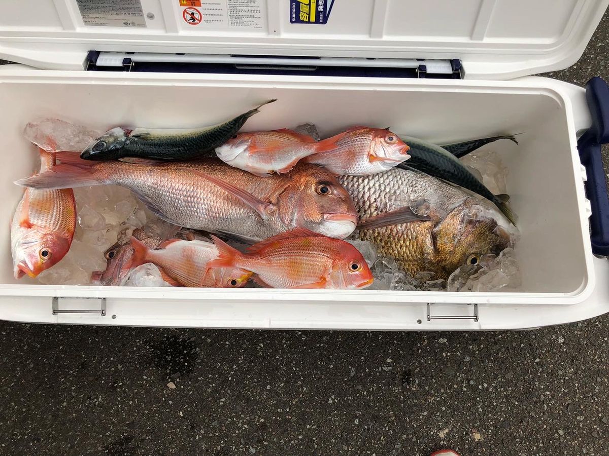 鯛LOVERS3858さんの釣果 3枚目の画像