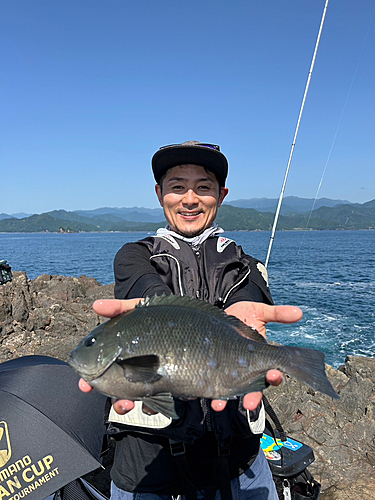 オナガグレの釣果