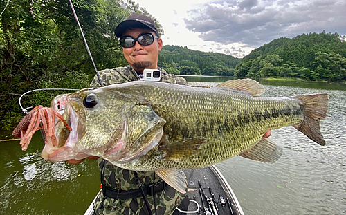 ブラックバスの釣果