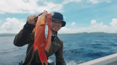 オジロバラハタの釣果