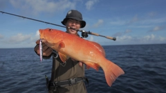 アカジンミーバイの釣果