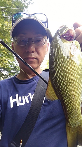 スモールマウスバスの釣果