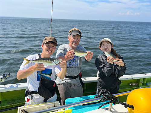 マアジの釣果