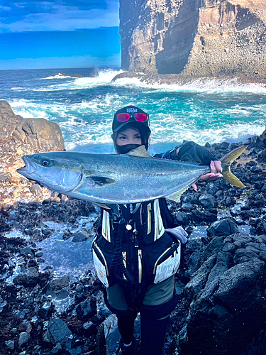 ワラサの釣果