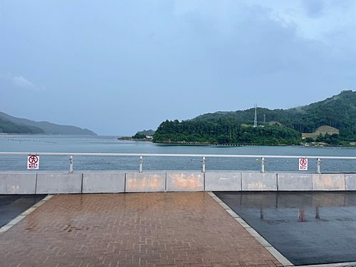 ケンサキイカの釣果
