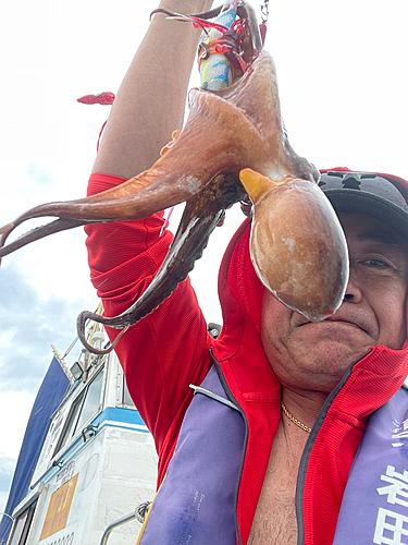 マダコの釣果