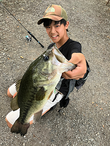 ラージマウスバスの釣果