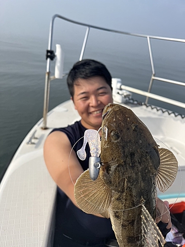 マゴチの釣果