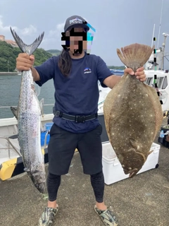 ヒラメの釣果