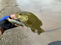 スモールマウスバスの釣果