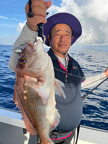 マダイの釣果