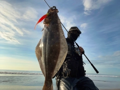 ヒラメの釣果