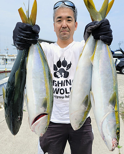 ハマチの釣果