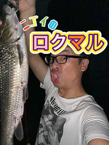 ニゴイの釣果