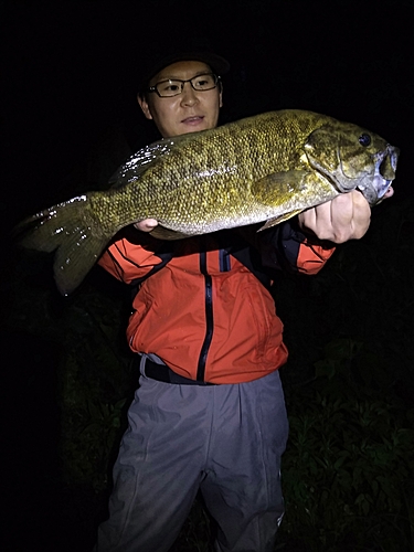 スモールマウスバスの釣果