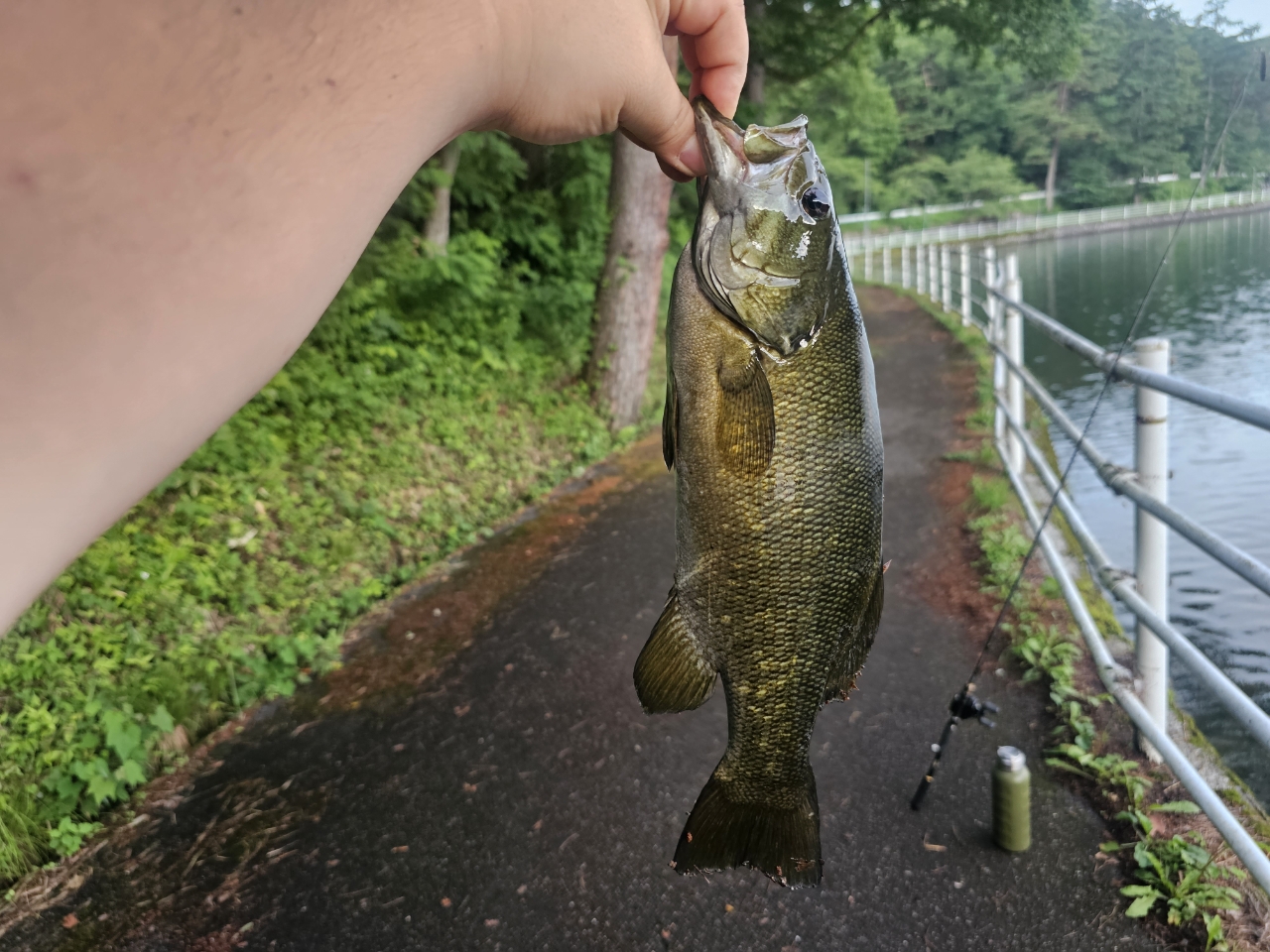 スモールマウスバス