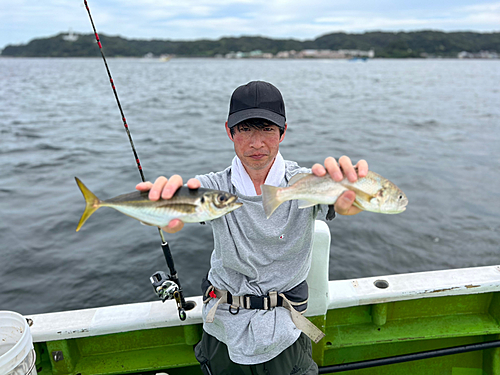 マアジの釣果