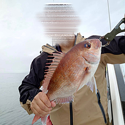 釣り探偵⭐︎湖南の釣果