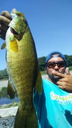 スモールマウスバスの釣果