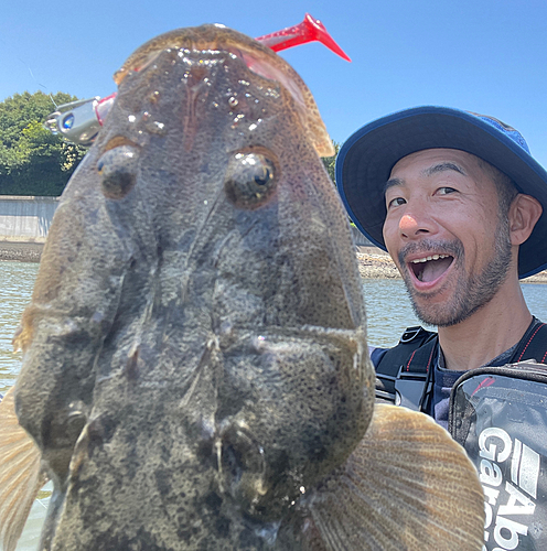 マゴチの釣果