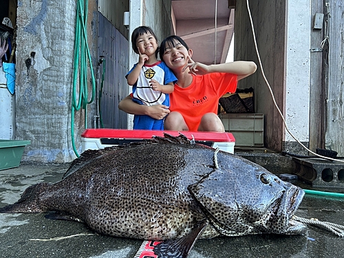 ヤイトハタの釣果